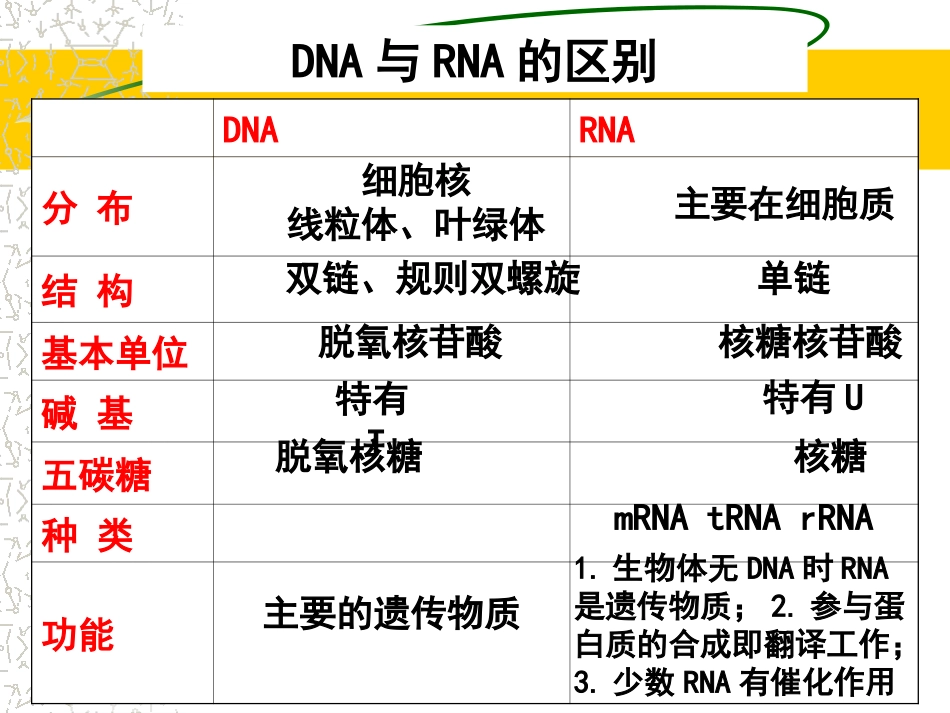 基因控制蛋白质的合成_第3页