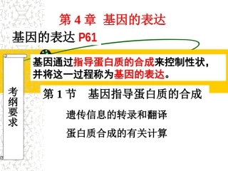 基因控制蛋白质的合成