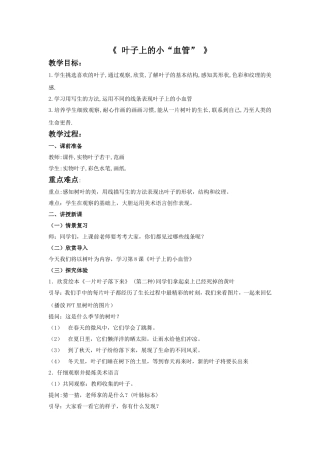 《叶子上的小“血管”》教案 (2)