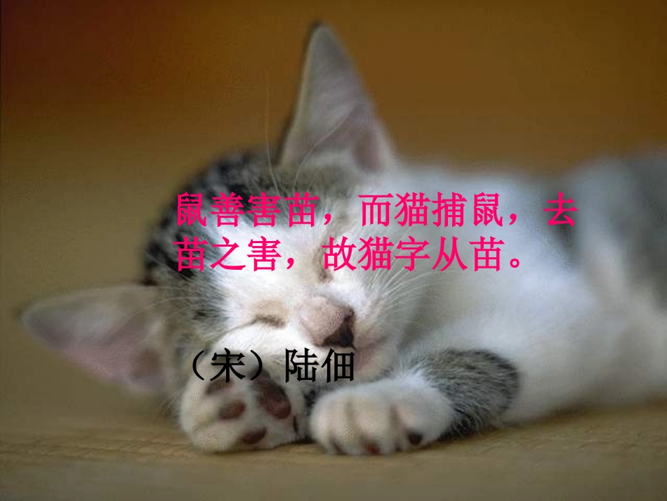 《猫》老舍小教研课件 (2)_第2页