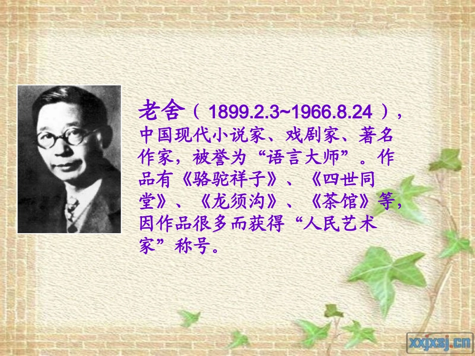 《猫》老舍小教研课件 (2)_第3页