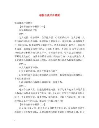 销售自我评价精简 