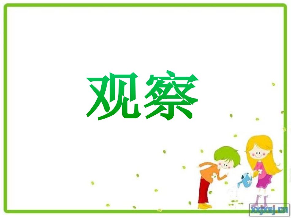 我看到了什么_第3页