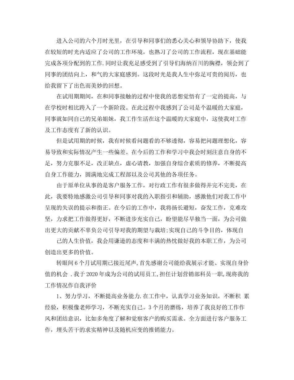 满试用期自我评价意见_第2页