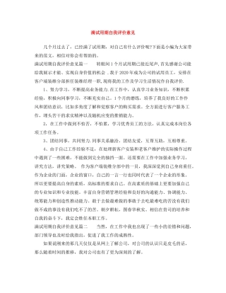 满试用期自我评价意见