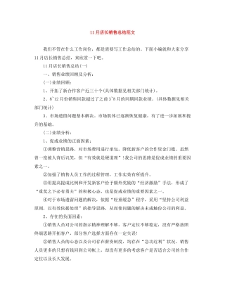 11月店长销售总结范文