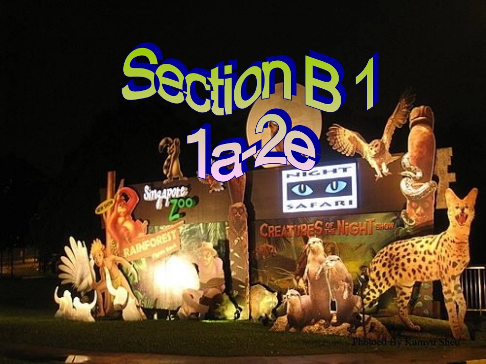 八年级英语下册Unit9SectionB1_第3页