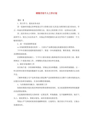 销售月初个人工作计划 