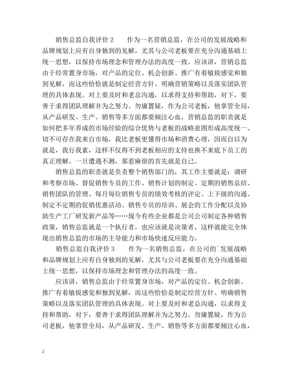 销售总监自我评价 _第2页