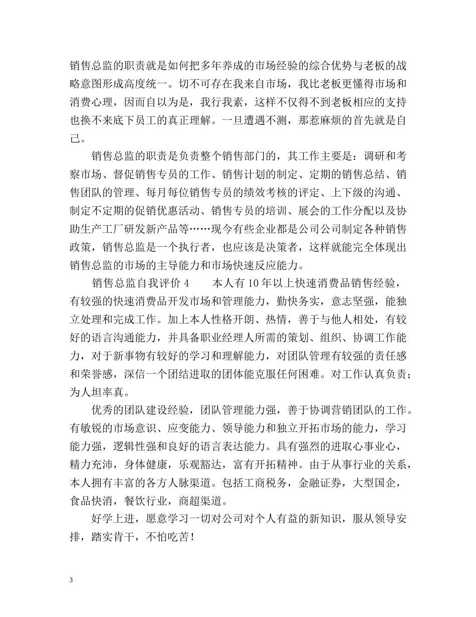 销售总监自我评价 _第3页