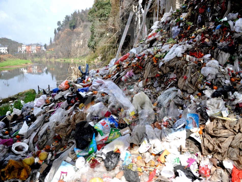 鸟儿的侦查报告_第1页