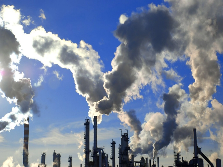 鸟儿的侦查报告_第2页