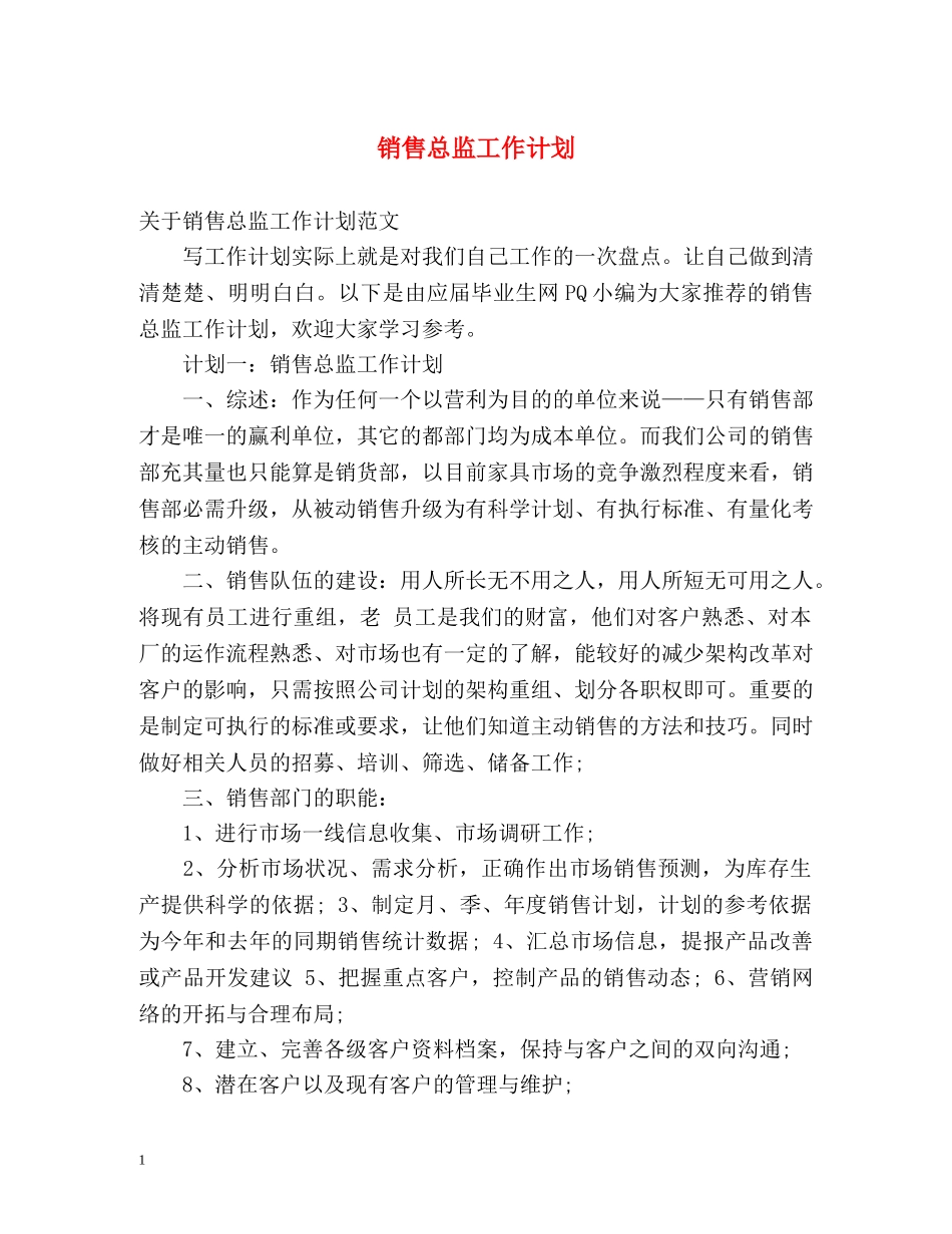 销售总监工作计划 _第1页