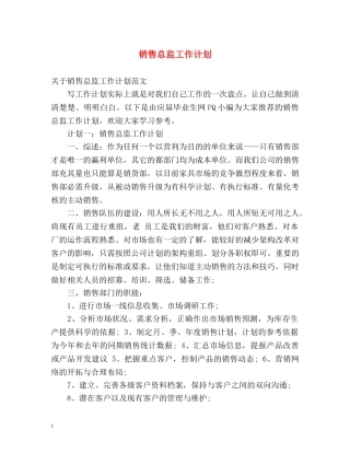 销售总监工作计划 