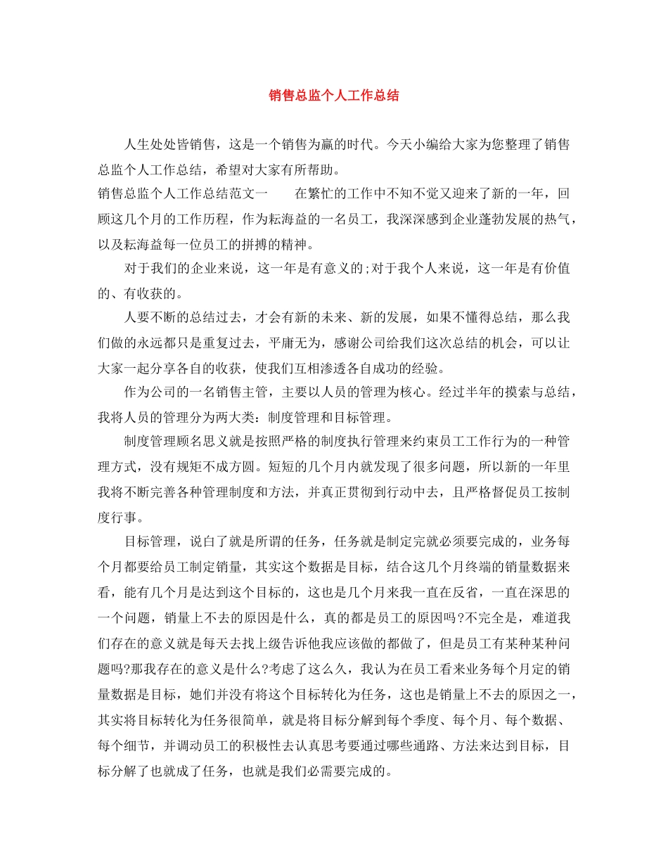 销售总监个人工作总结 _第1页