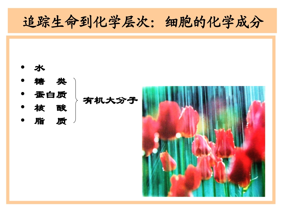 《分子和离子》课件１_第3页