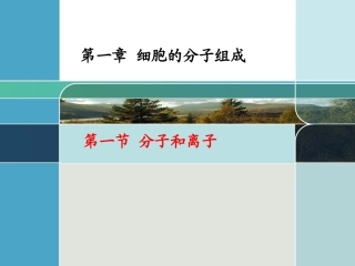 《分子和离子》课件１