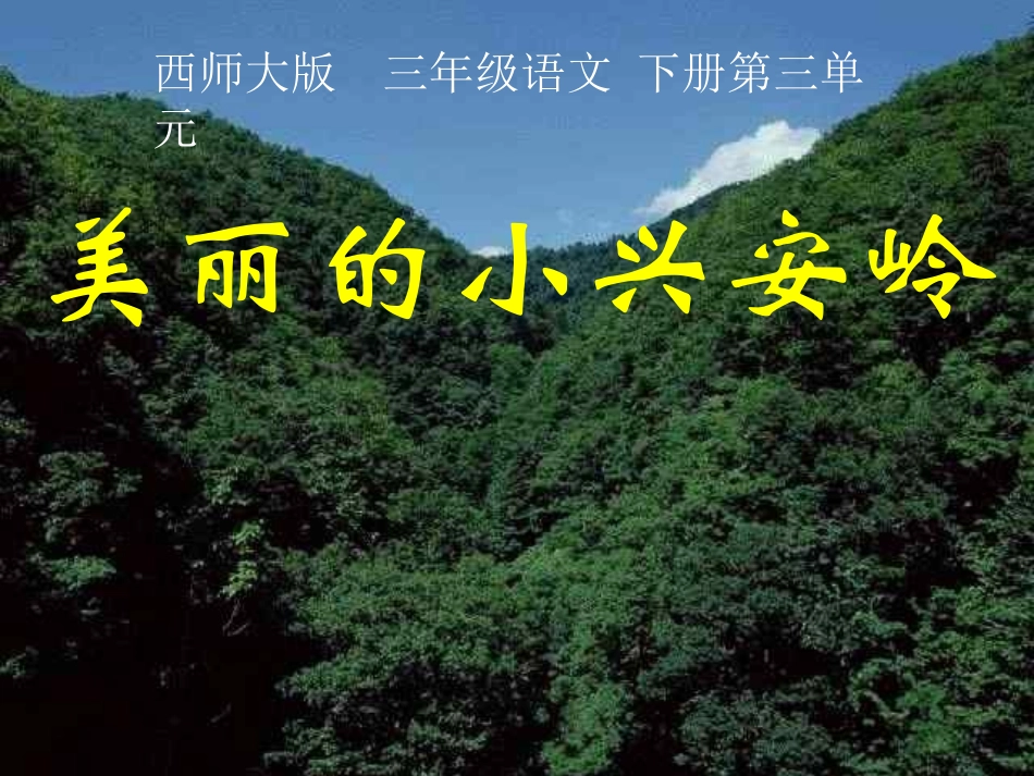 《美丽的小兴安岭》PPT课件(西师大版小学语文三年级下册课件)_第1页