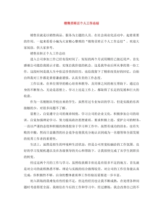 销售员转正个人工作总结 