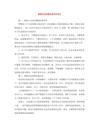 销售员试用期自我评价范文 