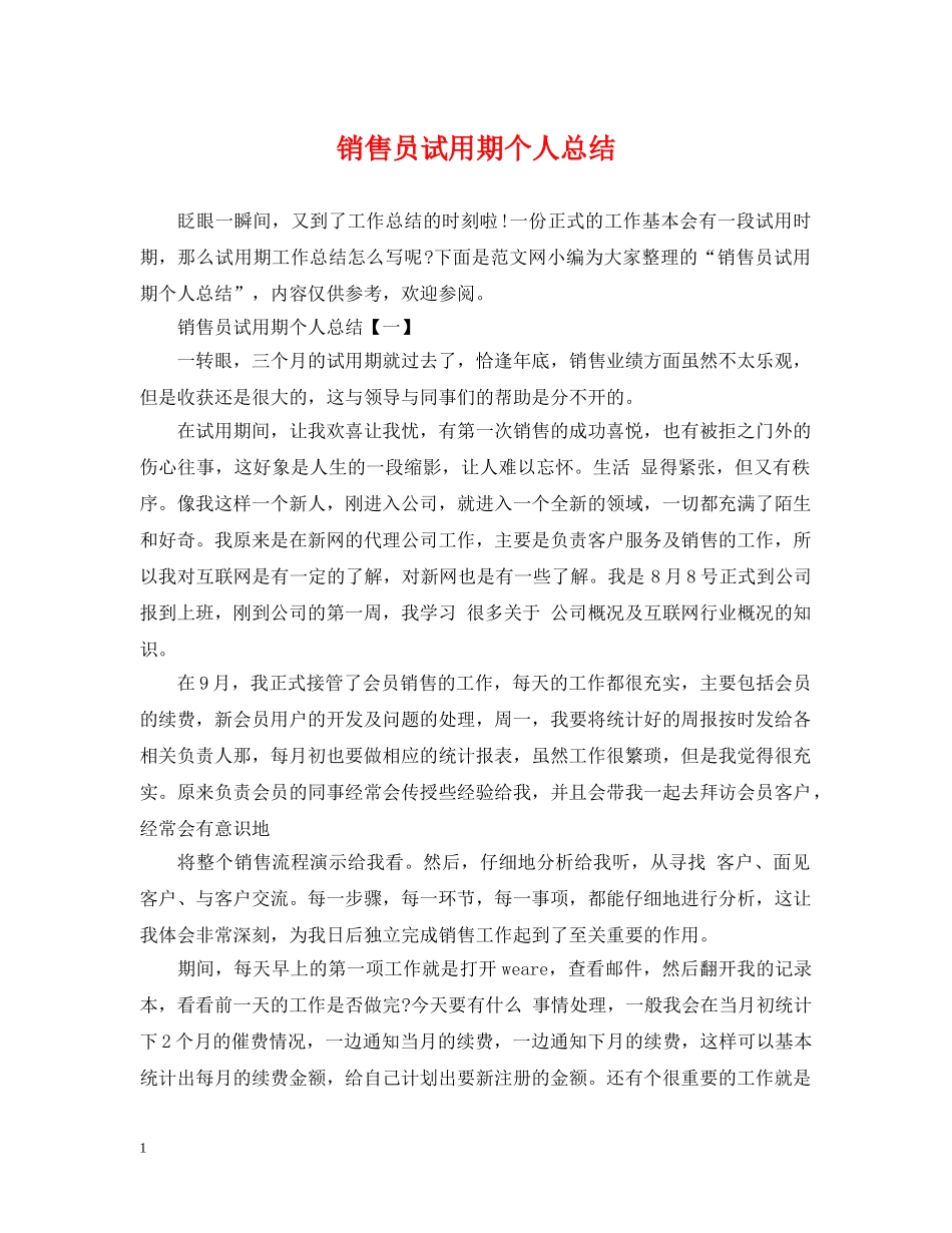 销售员试用期个人总结 _第1页
