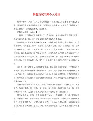 销售员试用期个人总结 