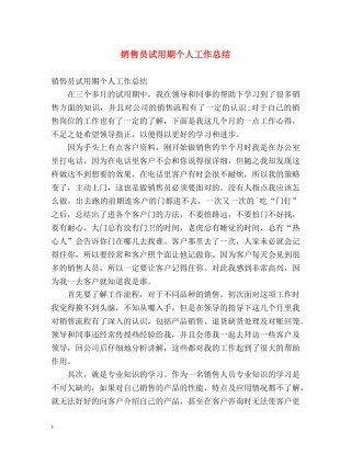 销售员试用期个人工作总结 