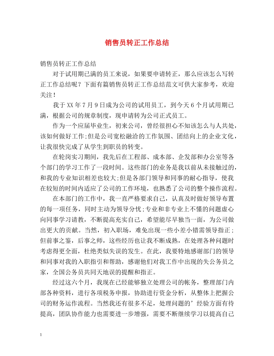销售员转正工作总结 _第1页