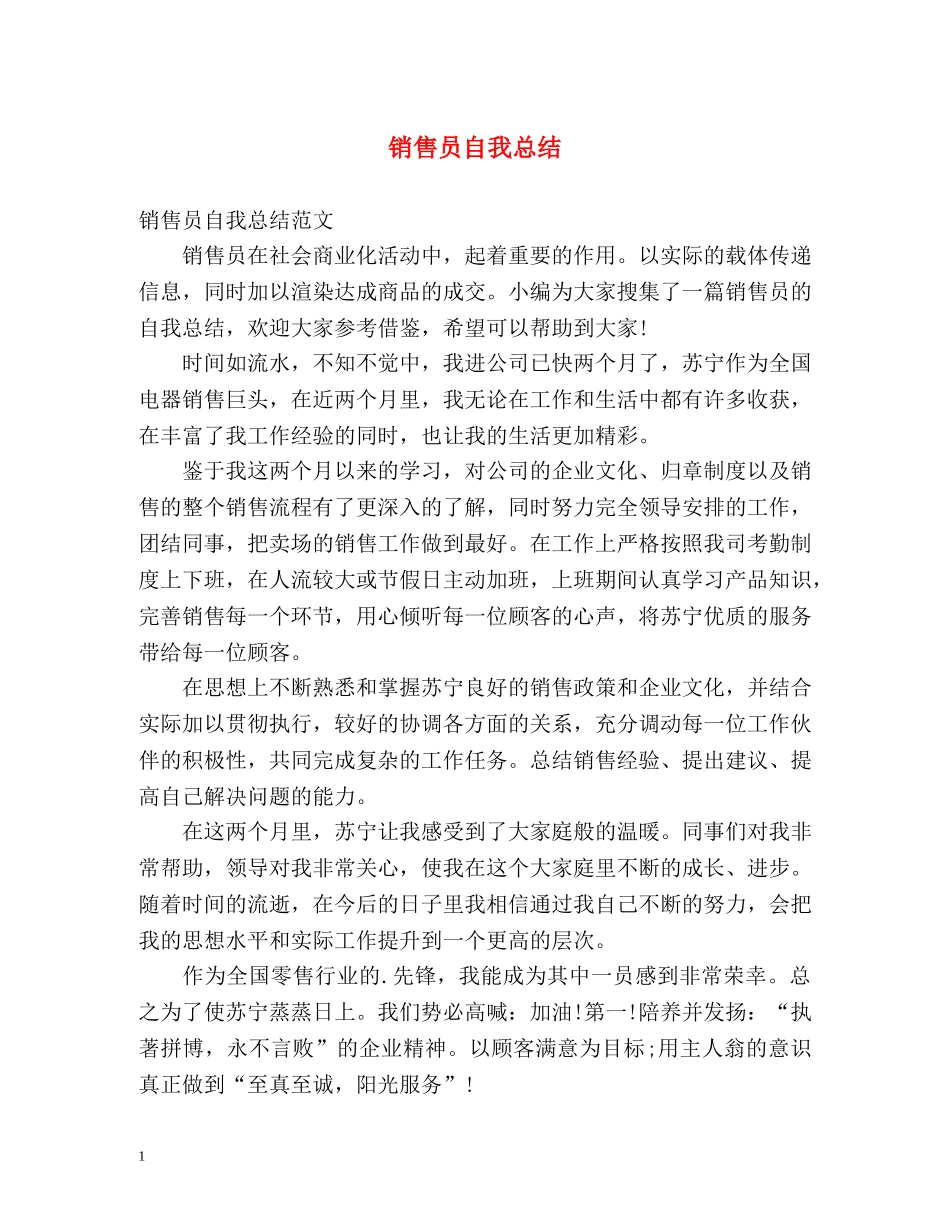 销售员自我总结 _第1页