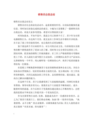 销售员自我总结 