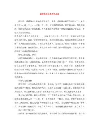 销售员的自我评价总结 