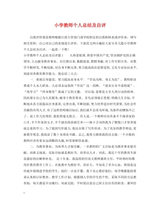 小学教师个人总结及自评