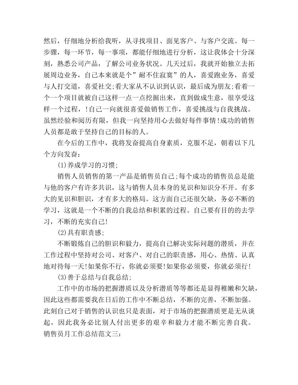 销售员月工作总结范文三篇 _第3页
