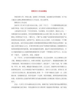 销售员月工作总结精选 