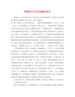 销售员月工作总结报告范文 