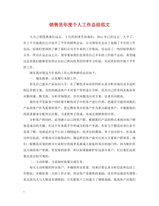 销售员年度个人工作总结范文 