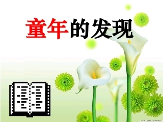 童年的发现(1)