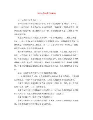 审计人员年度工作总结