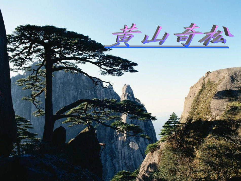 《黄山奇松》课件1_第1页