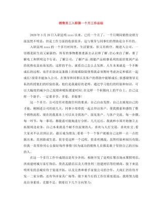 销售员工入职第一个月工作总结 