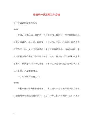 学校审计试用期工作总结