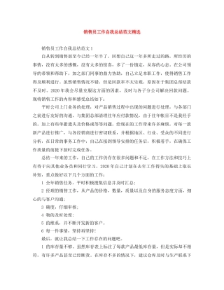 销售员工作自我总结范文精选 