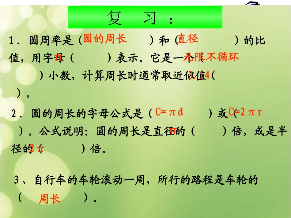 圆的面积 (5)_第3页