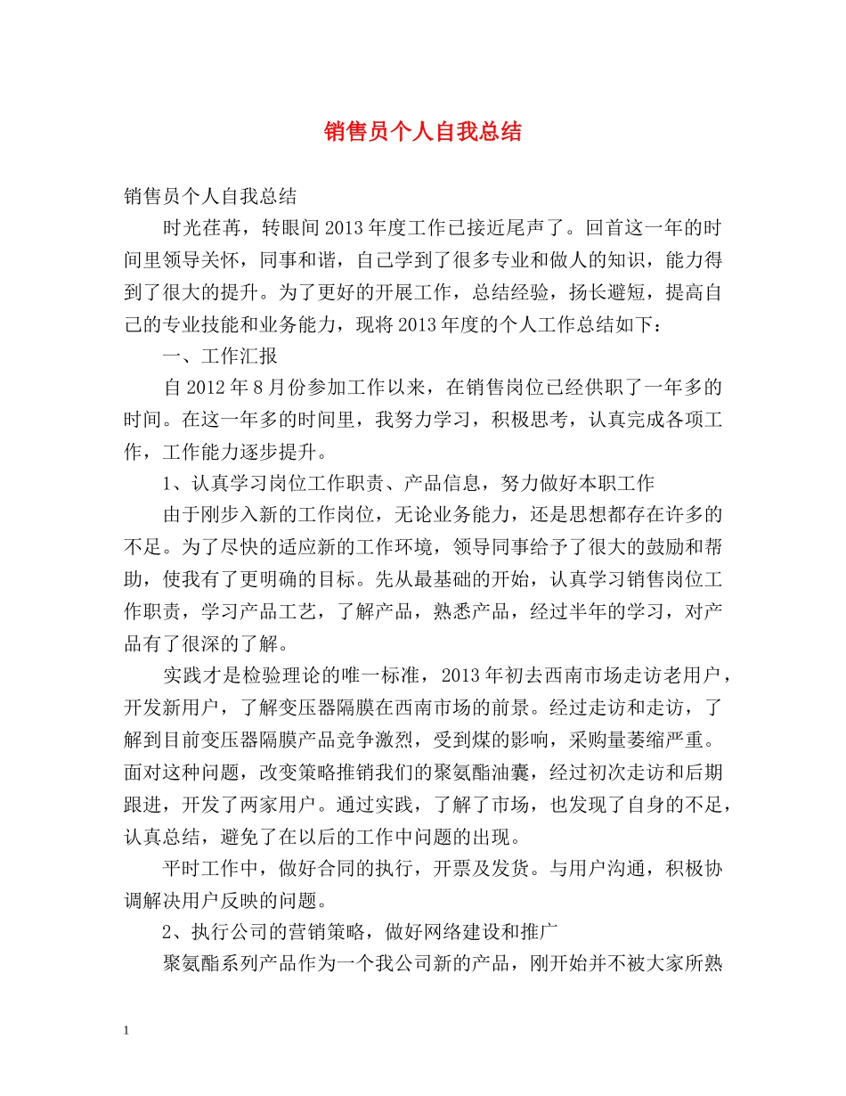 销售员个人自我总结 _第1页