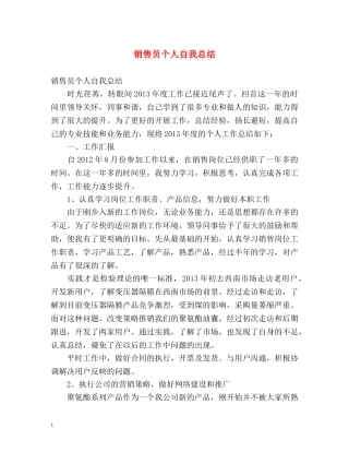 销售员个人自我总结 