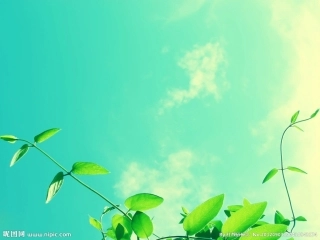 新平行四边形的面积