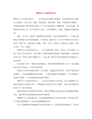 销售员个人自我评价范文 
