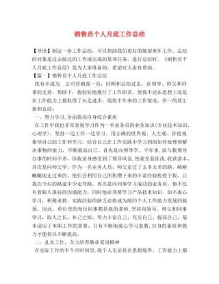 销售员个人月底工作总结 