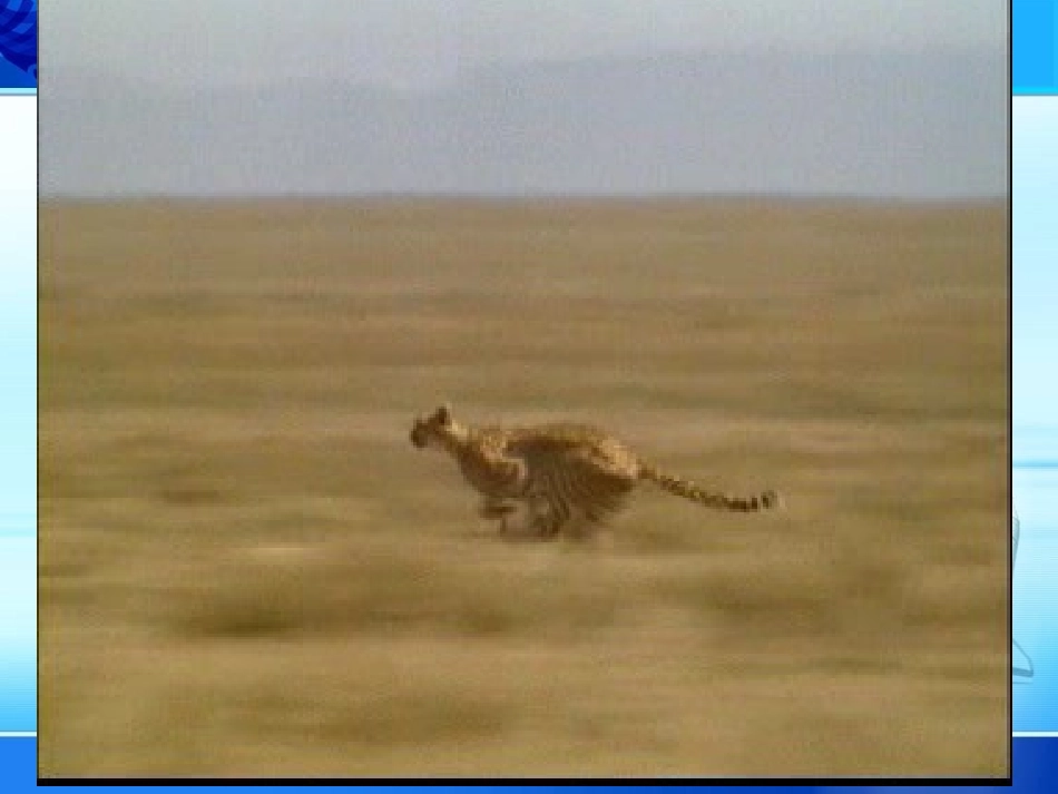 运动的描述 (2)_第2页