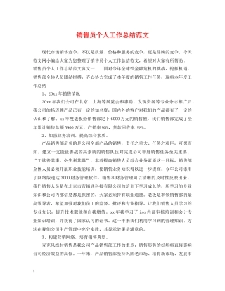 销售员个人工作总结范文 